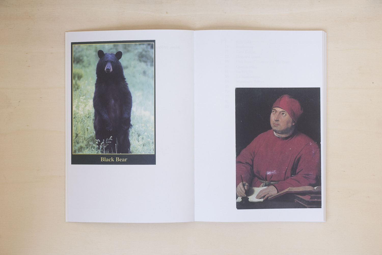 L'orso allo specchio